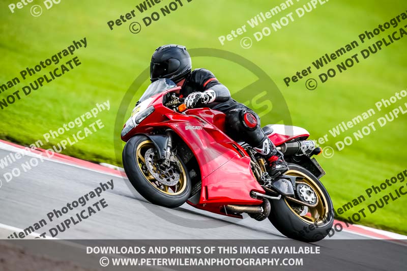 PJ Motorsport 2019;donington no limits trackday;donington park photographs;donington trackday photographs;no limits trackdays;peter wileman photography;trackday digital images;trackday photos